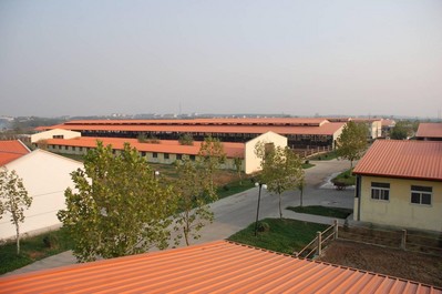 新鮮的衛崗牛奶源自現代化牧場